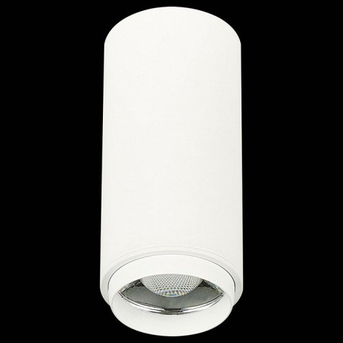 Накладной светильник ST Luce Zoom ST600.542.10