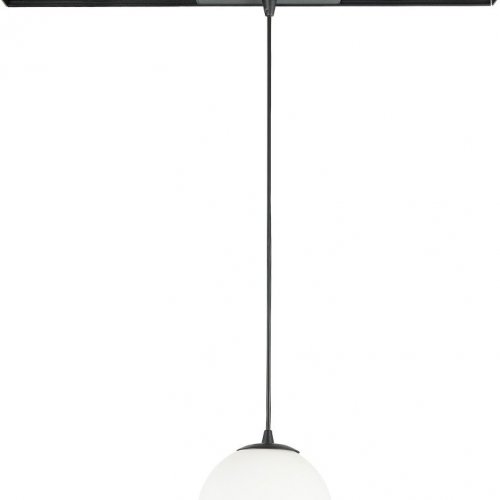 Трековый светильник Bubble DL18794WW10BSDim