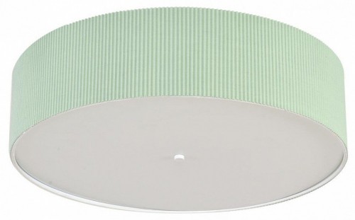 Потолочный светильник Lumion Gofera 8326/5