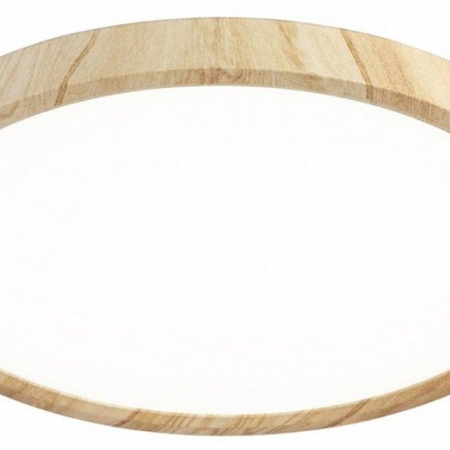 Накладной светильник Citilux Бейсик CL738242V Накладной светильник Citilux Бейсик CL738242V