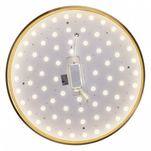 Потолочный светильник Zortes Monna ZRS.1209.12