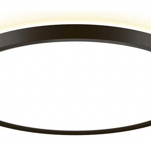 Накладной светильник Citilux NORMA CL748321