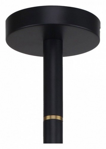 Подвесная люстра Favourite Eternity 2766-8P