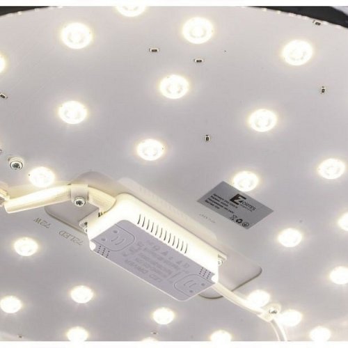 Потолочный светильник Zortes Gimpel ZRS.1209.15