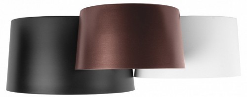 Потолочный светодиодный светильник Loft IT Duo 10360/3