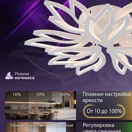 Потолочная люстра Natali Kovaltseva Rif LED LAMPS 81118/7C