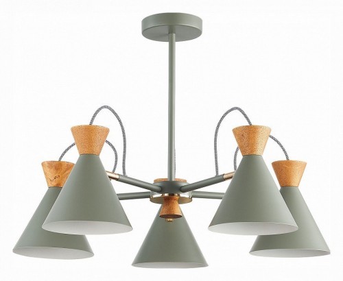 Потолочная люстра Evoluce Modica SLE125112-05