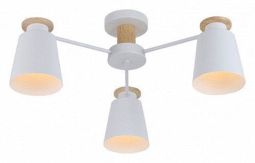 Потолочная люстра Rivoli Adna Б0053435