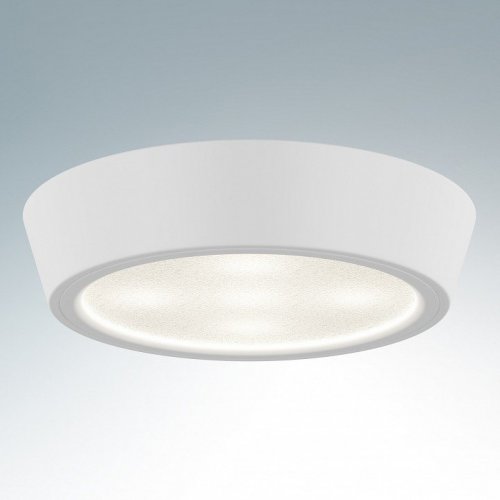 Настенно-потолочный светильник Lightstar Urbano Mini 214704 Настенно-потолочный светильник Lightstar Urbano Mini 214704