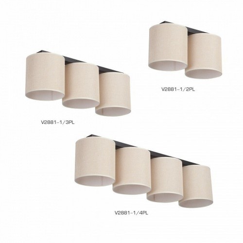 Потолочный светильник Vitaluce V2881-1/2PL