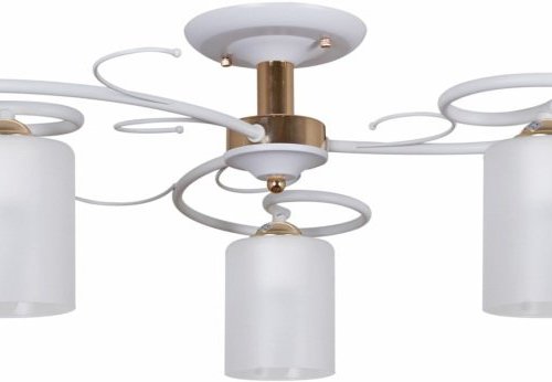 Потолочная люстра  00738-0.3-03