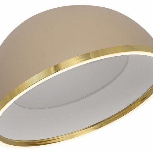Накладной светильник Citilux FLOOM CL736152 Накладной светильник Citilux FLOOM CL736152