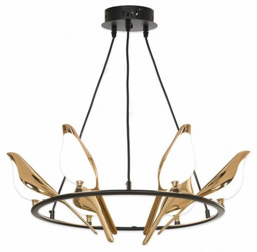 Подвесная люстра Lussole LSP-8641