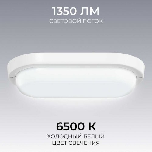 Светильник светодиодный герметичный OGM О28-12