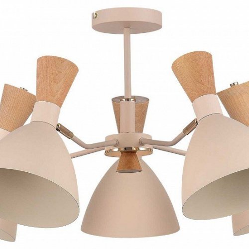 Люстра на штанге EVOLUCE VISTA SLE1256-502-05 Люстра на штанге EVOLUCE VISTA SLE1256-502-05