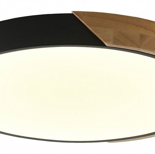 Потолочный светильник Zortes Alberro ZRS.01287.24 Потолочный светильник Zortes Alberro ZRS.01287.24