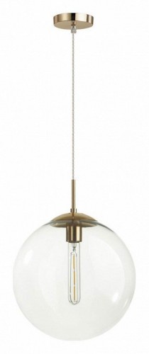 Подвесной светильник Lumion Summer 6509/1A