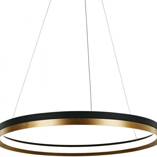 Подвесной светильник DeLight Collection MD21001010 MD21001010-1B black/br.gold