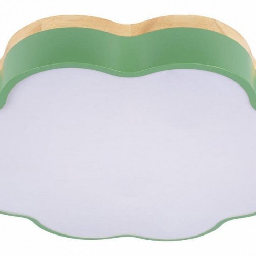 Потолочный светильник Axel 10225/36 Green