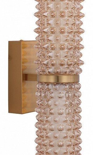 Бра ST-Luce SAGUARO SL6144.301.01