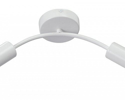 Потолочный светильник Vitaluce V4989-0/2PL Потолочный светильник Vitaluce V4989-0/2PL