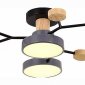 Потолочная люстра EVOLUCE Faema SLE6006-702-04