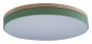 Потолочный светильник Loft IT Axel 10001/36 Green