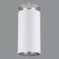 Подвесной светодиодный светильник Elektrostandard DLS021 9+4W 4200К белый матовый/серебро 4690389144288