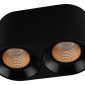 Накладной светильник Denkirs DK3096-BK+BR