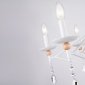 Подвесная люстра Ambrella TR TR9596