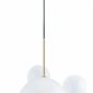 Подвесной светильник Loft it Bolle 2030-P6