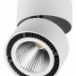 Точечный встраиваемый светильник Lightstar Zocco 213830