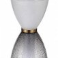 Настольная лампа ST Luce SL6130.404.12