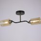 Потолочная люстра Illumico IL8148-2COU-79 BK BR Bice