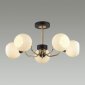 Потолочная люстра Lumion Bliss 5642/5C