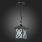 Уличный светильник подвесной ST Luce Lorne SL084.403.01