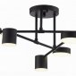 Потолочная люстра Kink Light Мекли 07649-6D,19