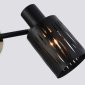 Настенно-потолочный спот Ambrella light TRADITIONAL TR8668