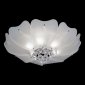 Потолочная люстра Lightstar Lobo 804020