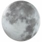 Настенно-потолочный светодиодный светильник Sonex Moon 3084/CL