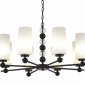 Подвесная люстра ST-Luce AURORA SL2003.403.08