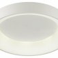 Потолочный светодиодный светильник Odeon Light Sole 4062/50CL