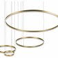 Подвесной светодиодный светильник Loft IT Ring 10017/4L