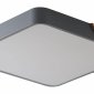 Потолочный светильник Alberro ZRS.01288.48