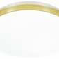 Настенно-потолочный светильник Sonex Smalli 3066/CL