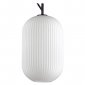 Подвесной светильник Odeon Light Roofi 4752/1