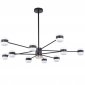 Потолочная люстра APL LED Ferrara 3307.6296-10 Black