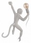 Настенный светильник Loft IT Monkey 10314W/A