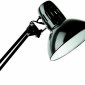 Настольная лампа Arte Lamp Senior A6068LT-1BK