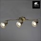 Настенно-потолочный светильник Arte Lamp Focus A5219PL-3AB